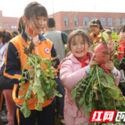 蔬菜喜丰收 学子笑开颜