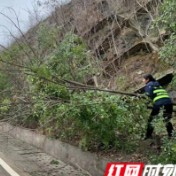 张家界西中心收费站多措并举，为阴雨天高速行驶保驾护航