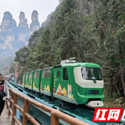 自然山水中乐享元宵节 张家界国家森林公园旅游强劲复苏