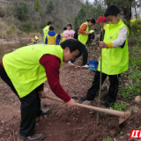 学雷锋 | 植树美化环境 助力乡村振兴