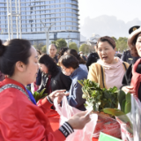 “送春入户 花落万家”张家界市开展绿植认领活动