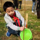 不负春光 植此新绿——武陵源区索溪中心学校开展植树节活动