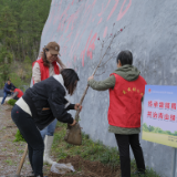 坚定生态意识 共建美好家园——张家界市税务局开展“传承雷锋精神”主题党日活动