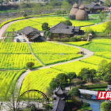 张家界黄龙洞景区荣登2022年度携程口碑榜单