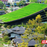 奇志、何晶晶、周卫星都要来，“湘式喜剧专场”将落户张家界黄龙音乐厅