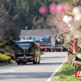 五一畅游张家界｜张旅集团多措并举做好“五一”假期旅游接待工作