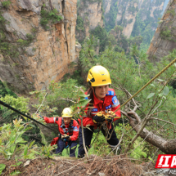 湖南张家界：“红衣侠”峭壁索降呵护生态环境（图）