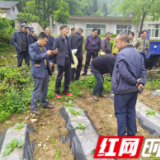 慈利县象市镇：屋内授课田间指导，“理论”+“实践”助力烤烟种植提质增收