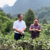 我随书记去调研｜旅游产业“人旺财不旺”如何破解——张家界市武陵源区委书记张龚调研旅游商品生产经营