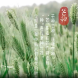 芒种悄然至 你准备好迎接仲夏了吗？