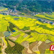 慈利县甘堰土家族乡：地尽其利用好“新资源” 提质增效助推“新发展”