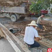 永定区合作桥乡：推进“美丽永定” 扮靓房前屋后