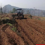 赵家岗土家族乡新峪村：全力以赴抓烤烟 冬耕起垄掀热潮