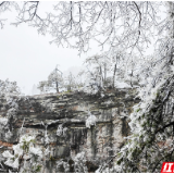 湖南张家界：大雪纷飞山林间 诗意绝景迎客来