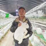 信息化助农丨永定区三家馆：腊兔火热上市！还可以送货上门