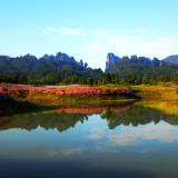 张家界武陵源粉黛花海绘就秋日盛景