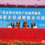 张家界持续抓好知识产权保护 助力经济高质量发展