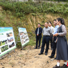 张家界召开全市农村违法建设集中整治工作现场会