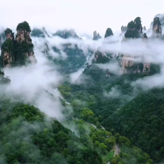 张家界十里画廊雨后云雾缭绕似仙境