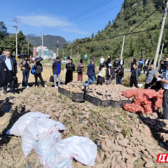 湘西州保靖县库区新型职业农民培训班学员走进张家界小背篓基地