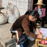 永定区桥头乡：全力推进医保征缴 让群众有“医”可靠