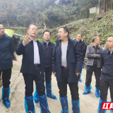 张家界：闫瑞增赴九姆山跑山黑猪养殖基地调研