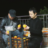 张家界慈利县：脐橙卖难 “卓老爹 ”“橙”意助农