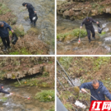 新春走基层｜张家界国家森林公园门票站清理卫生死角 美化景区容貌