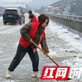 杨柳铺乡：以雪为令保畅通 闻雪而动暖民心