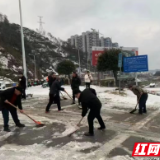 沙堤街道：除雪融冰护民行 民情走访暖人心
