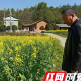 三官寺土家族乡龙岗村：百姓心中的“自家人”