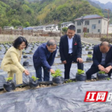 张家界武陵源：科技专家深入企业开展科技服务