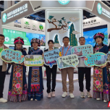 旅游品牌独具魅力 张家界国家森林公园惊艳2024年中国品牌日
