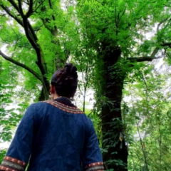 节气里的古村落丨小得盈满的智慧就藏在这座长寿村里——高坪村