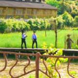 武陵源公安：山水里上班