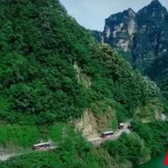 国企先锋行｜张家界：山水之间的“满意驶者”
