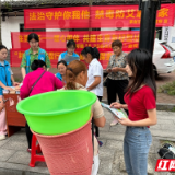 茅岩河镇：开展“利剑护蕾·雷霆行动”普法宣传活动