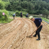 阳湖坪街道禾家山村：干群连心共抗汛情，打赢了防汛抗洪战役