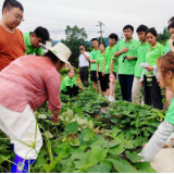 西北民族大学乡村振兴实践团走进张家界小背篓开展联学共建活动