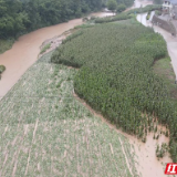 人保财险张家界市分公司： 超百万首批次暴雨灾害保险赔款支付到位