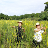 慈利县象市镇坼岩村：百亩黄花菜喜变“黄金”菜