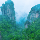 杨家界雨后清晨现奇观 云海峰墙叹为观止