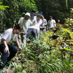 长沙理工大学研究生暑期实践团来桑植县开展岩溶山区村庄水利规划专项调研