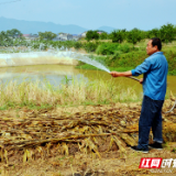 慈利县零溪镇岩桥村116口山塘焕发生机