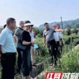 慈利县：“田间课堂”砺精兵 “送技下乡”强本领