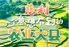 “画说”产业慈利⑤ | 慈利，一个意想不到的农业大县