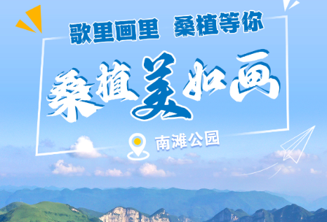 桑植美如画⑤ | 南滩草场：灿美自然画卷