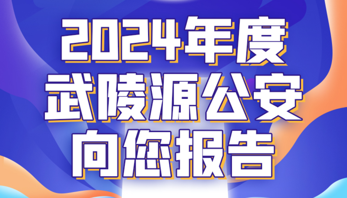 一图了解！武陵源公安这一年