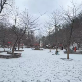 张家界天门山雪花飞 冰雪美景醉游人