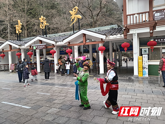 冬游张家界｜2025年新春佳节张家界国家森林公园“宠客”不断